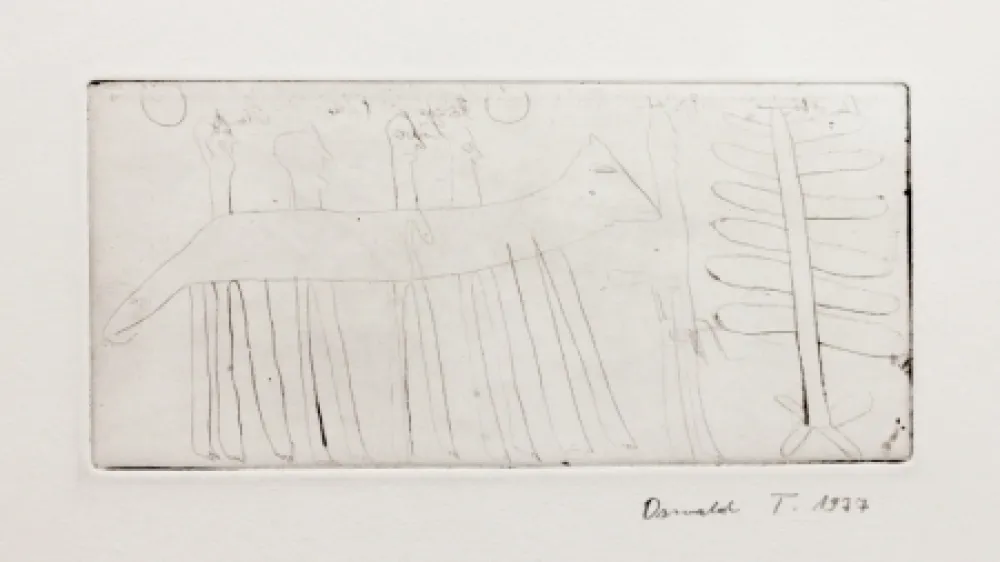 Incisione Tschirtner - Hase (Hare)