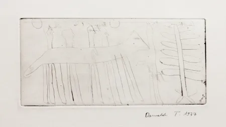 Incisione Tschirtner - Hase (Hare)