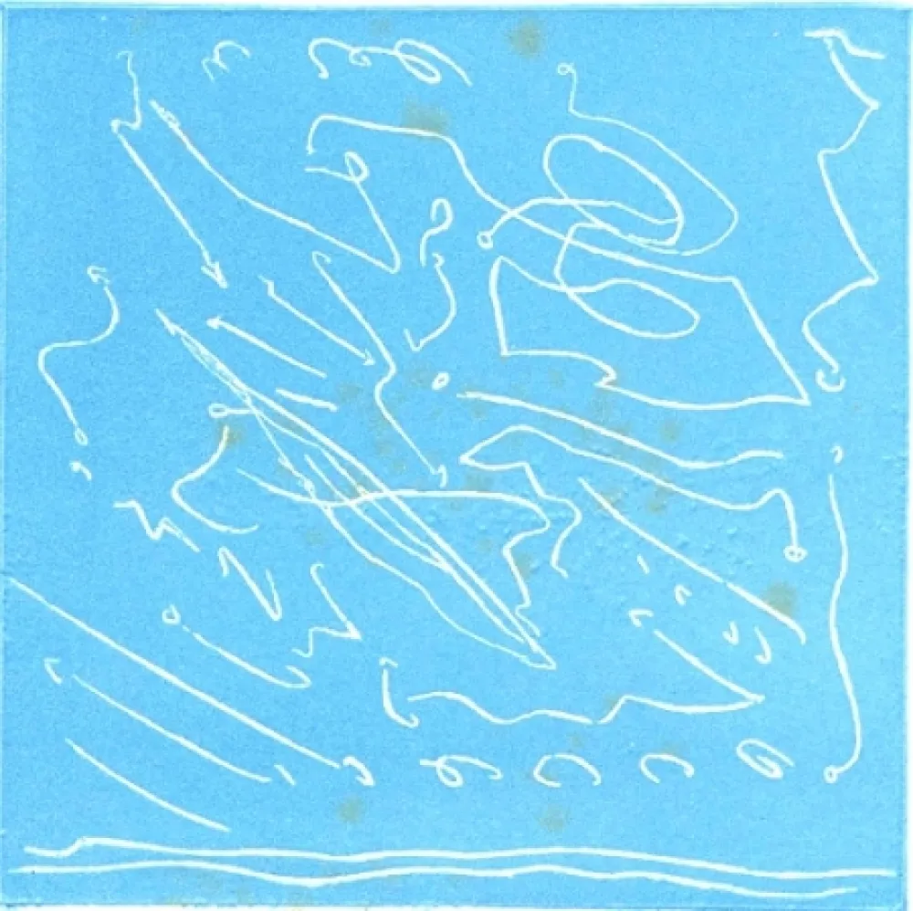 Libro Illustrato Turcato - Agli amici lucani