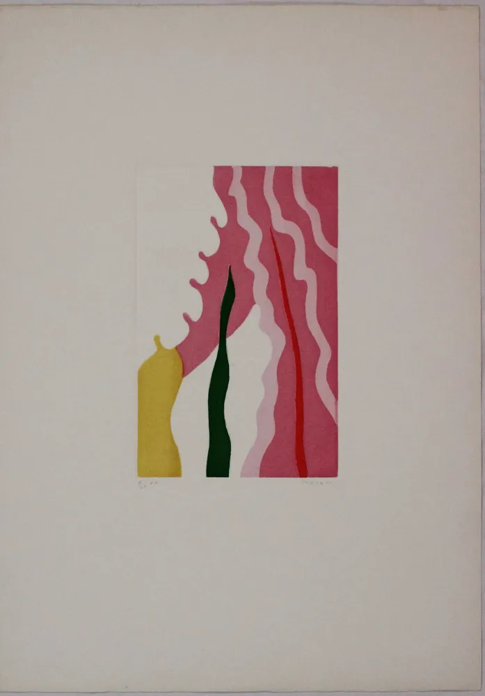 Acquaforte E Acquatinta Turcato - L'absente