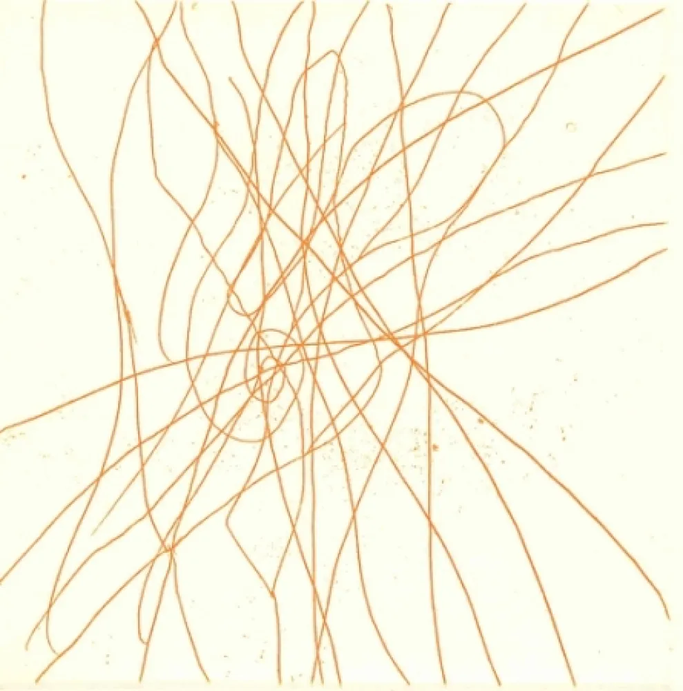 Libro Illustrato Turcato - Poesie giovanili