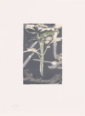 Litografia Tuymans - Gene