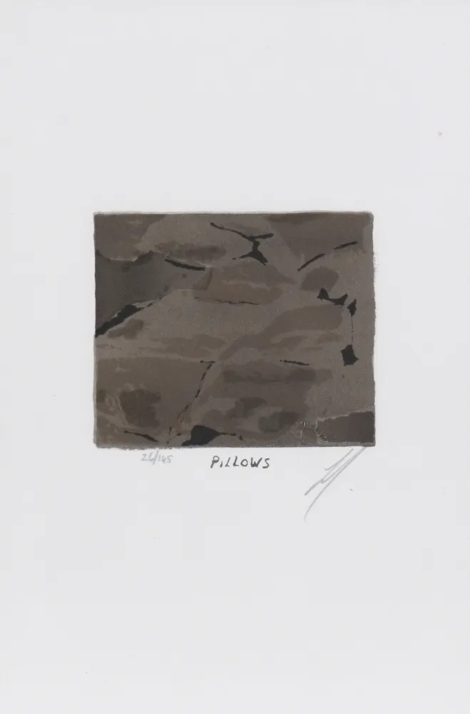 Litografia Tuymans - Pillows