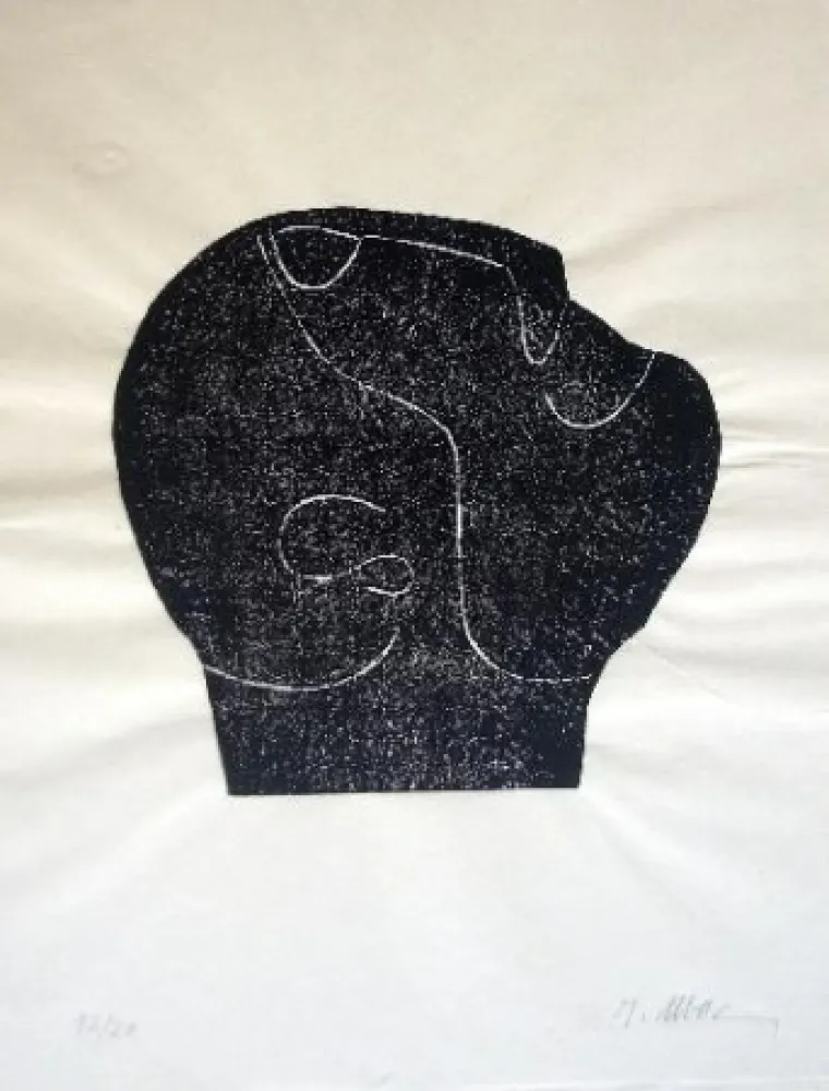 Libro Illustrato Ubac - Comme un sol plus obscur