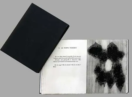 Libro Illustrato Ubac - Lisière du devenir