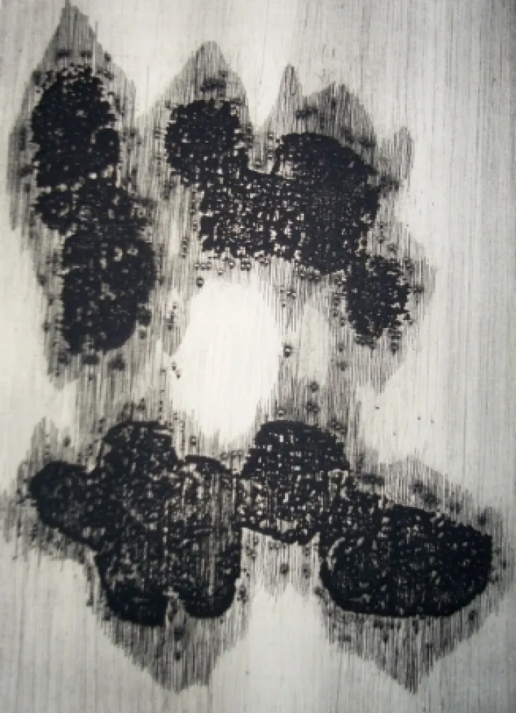 Libro Illustrato Ubac - Lisière du devenir