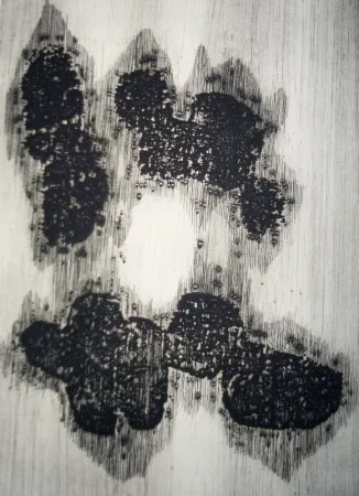 Libro Illustrato Ubac - Lisière du devenir