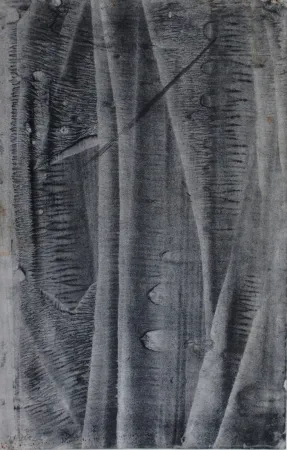 Non Tecnico Ubac - Sans titre