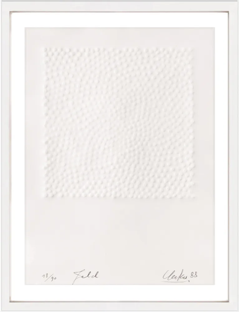 Non Tecnico Uecker - Feld