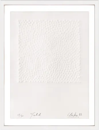 Non Tecnico Uecker - Feld