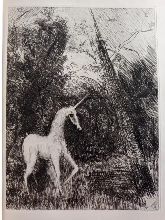 Acquaforte Unknown - Bestiaire avec 14 eaux-fortes de Pedro Zamorano de Biedma Kerdyk, René (Pedro Zamorano de Biedma) (Léon-Paul Fargue)