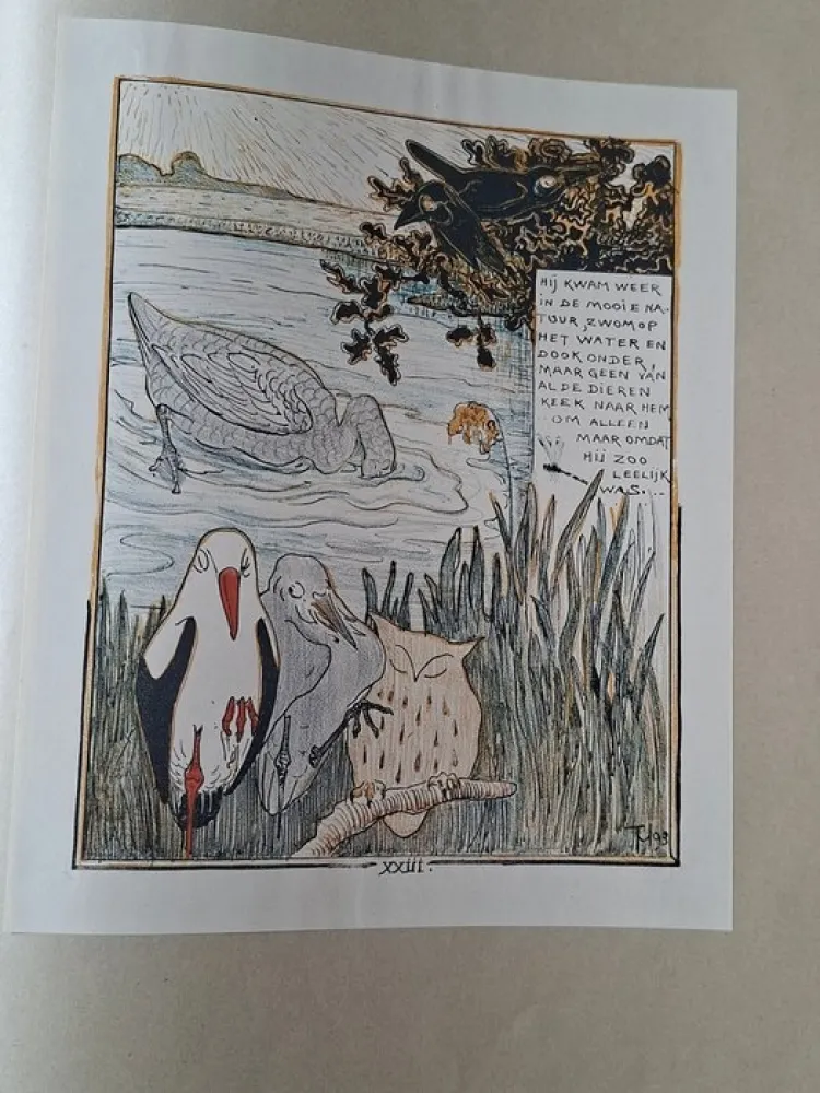 Libro Illustrato Van Hoytema - Het leelijke jonge Eendje