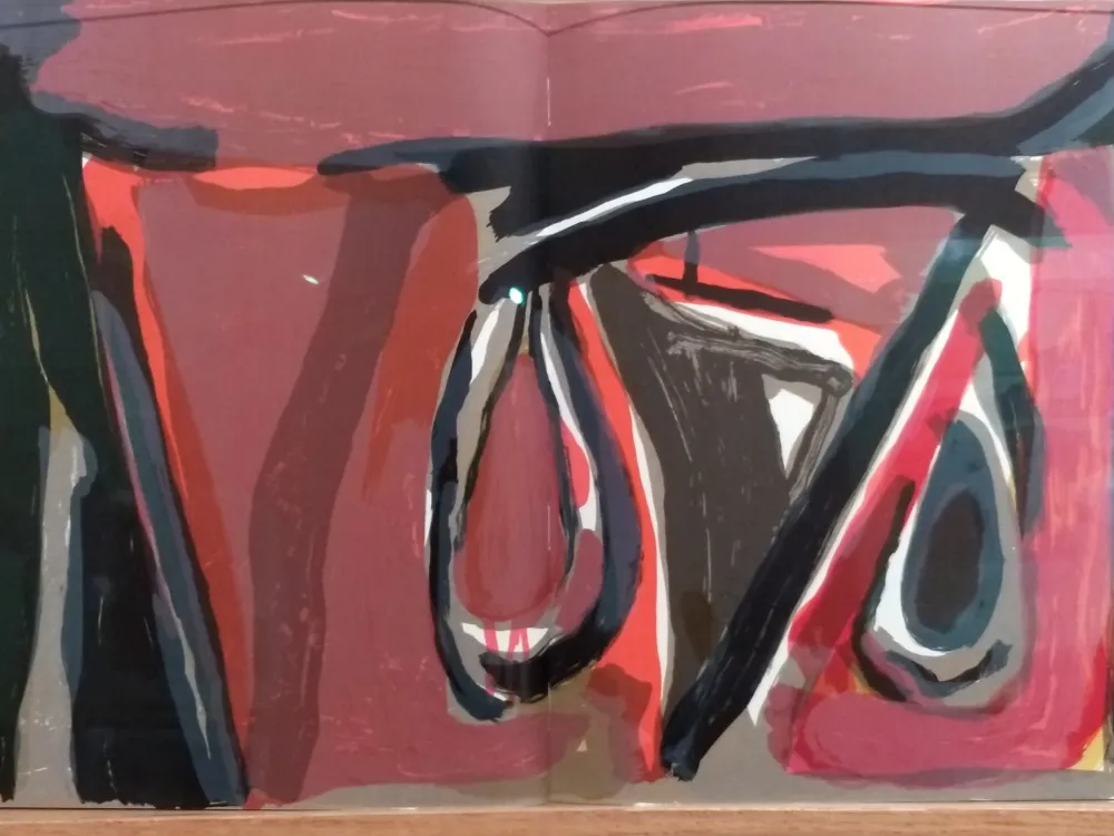 Libro Illustrato Van Velde - DLM 250