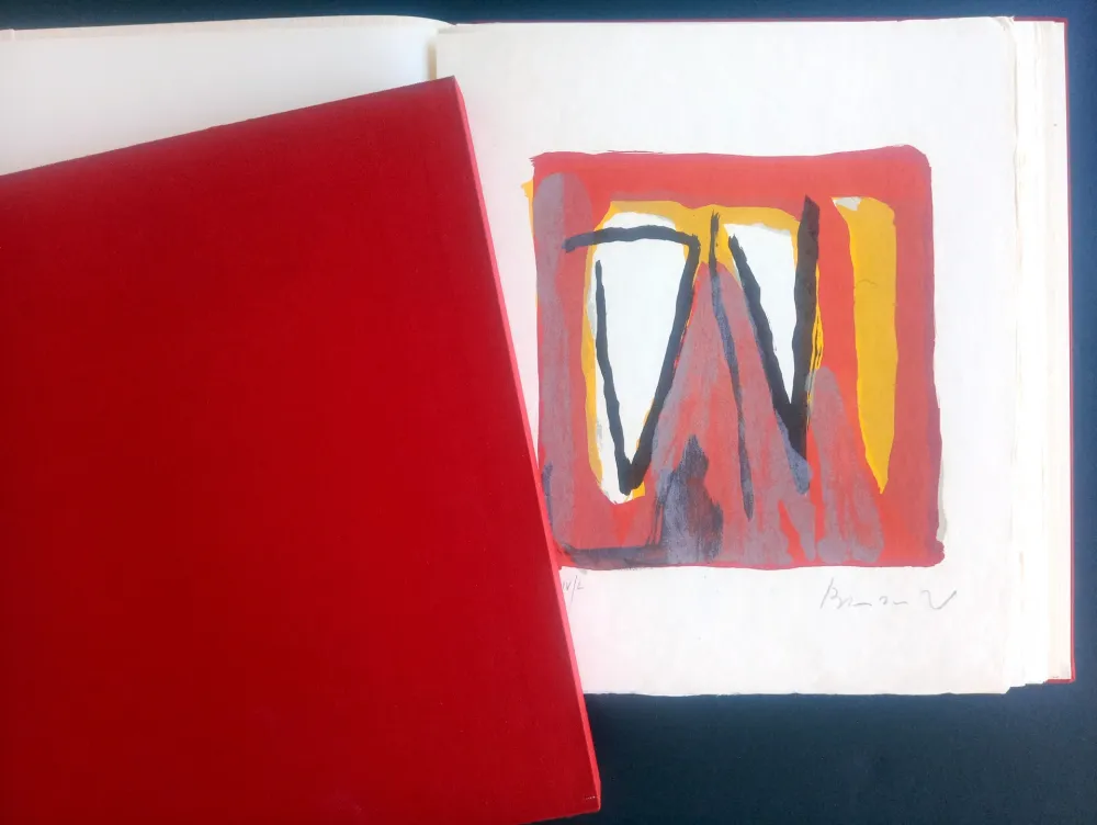 Libro Illustrato Van Velde - LA NUIT QUI OSE DIRE SON NOM