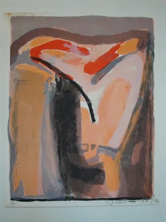 Libro Illustrato Van Velde - Le crime d'une nuit