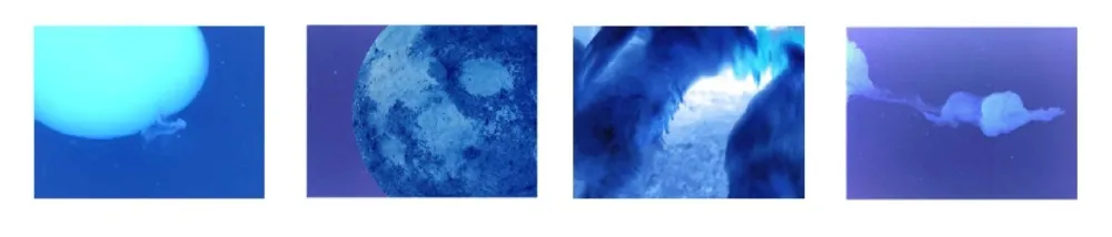 Multiplo Vanmechelen - Fertility (x4)