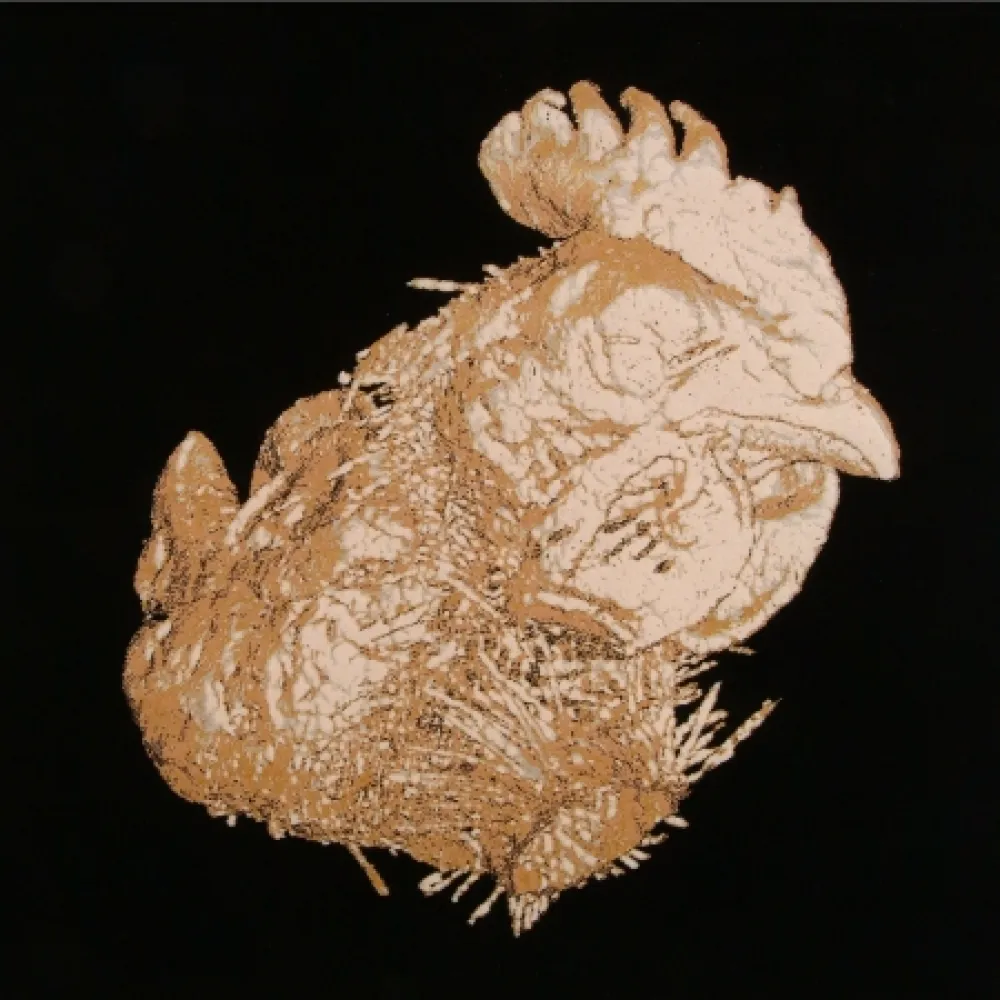 Litografia Vanmechelen - Janus