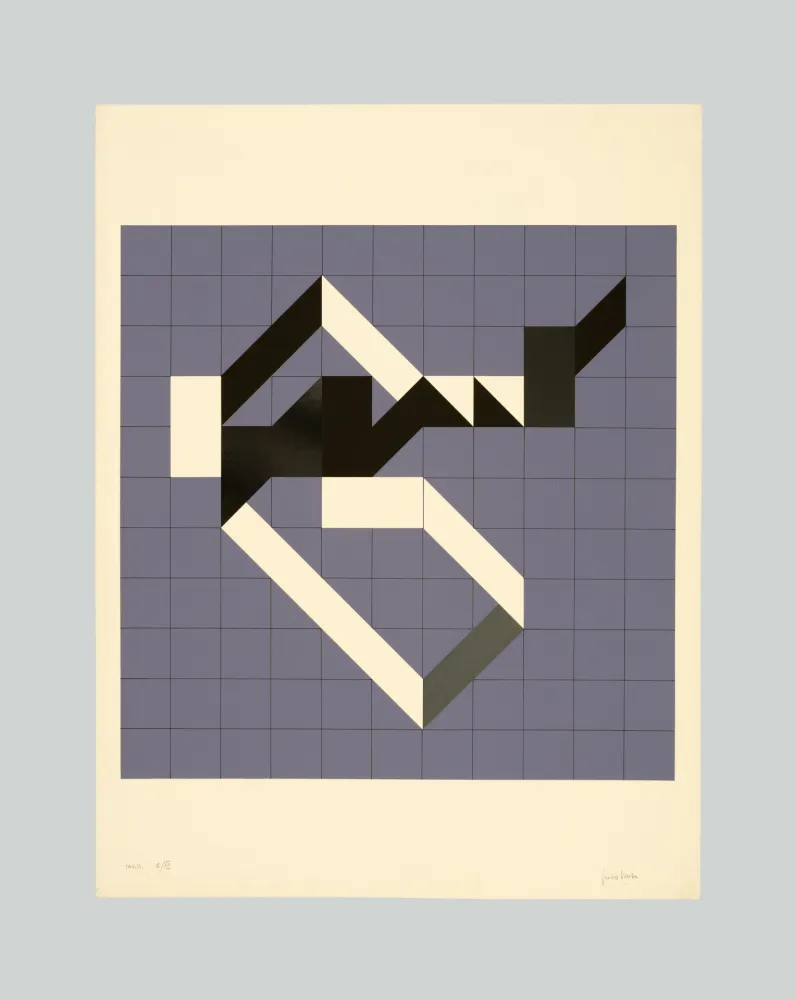 Serigrafia Varisco - Random walks (Tav. B)