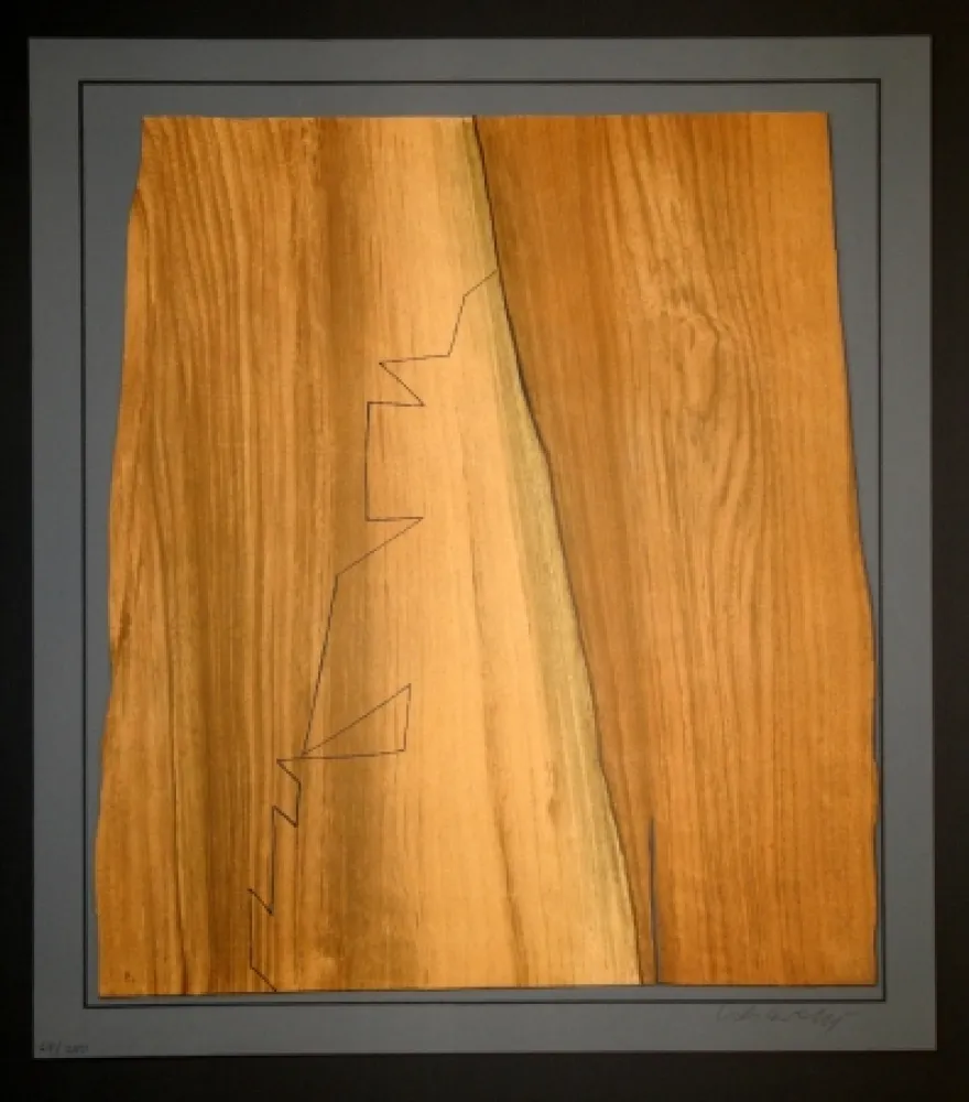 Incisione Vasarely - Gordes Nives