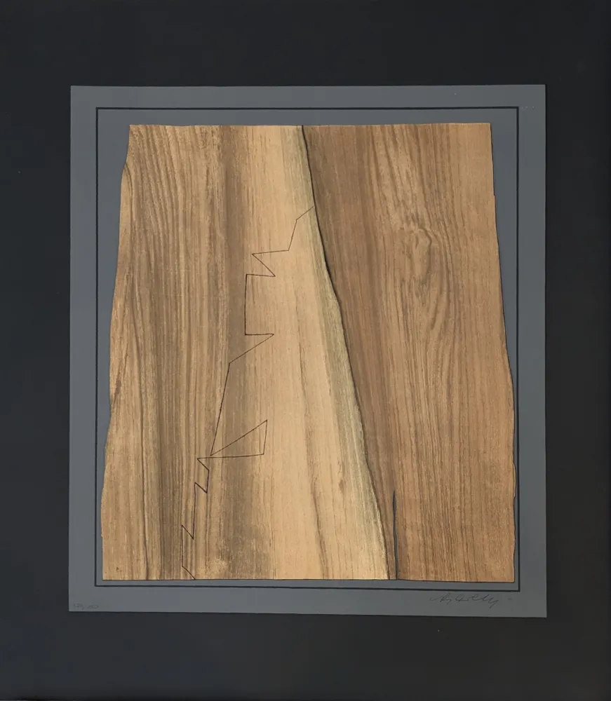 Litografia Vasarely - Gordes Nives 