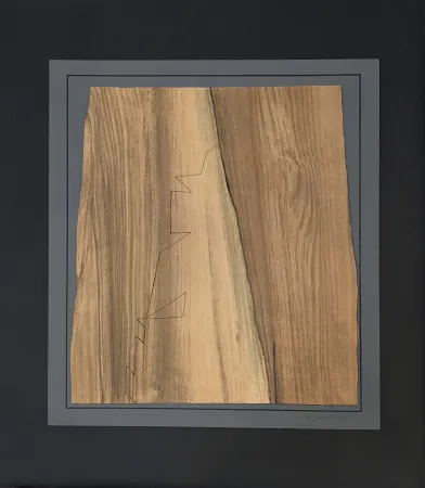 Litografia Vasarely - Gordes Nives 