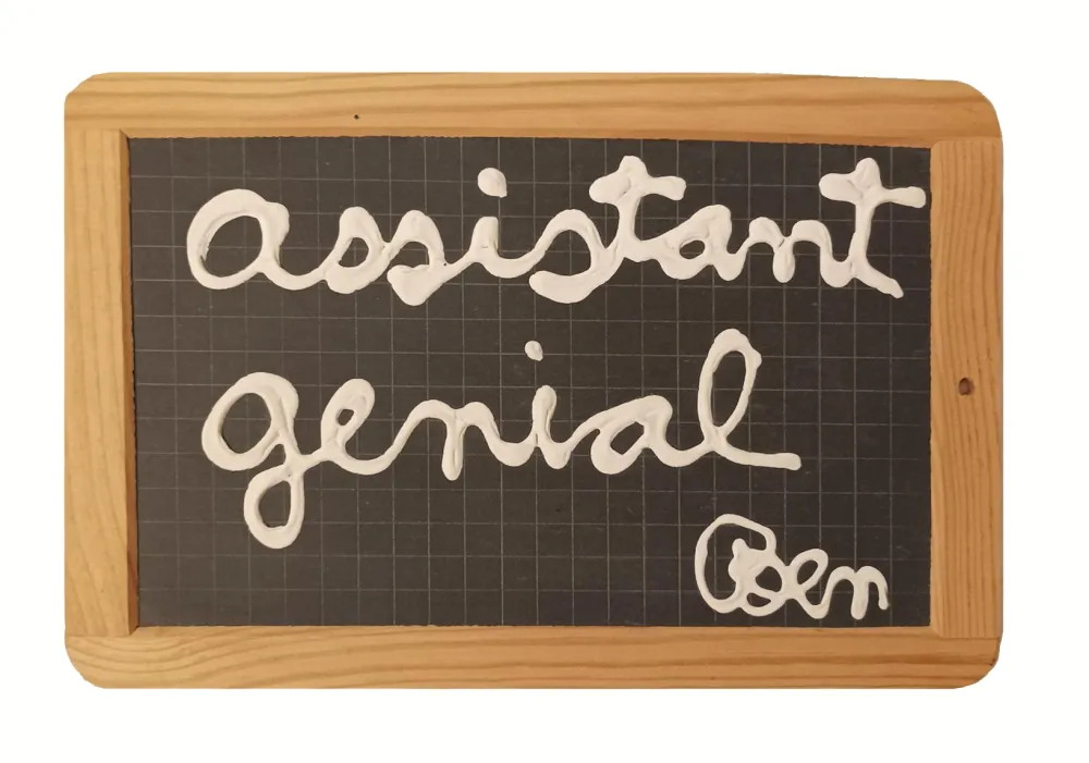 Non Tecnico Vautier - '' assistant génial ''