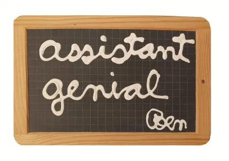 Non Tecnico Vautier - '' assistant génial ''