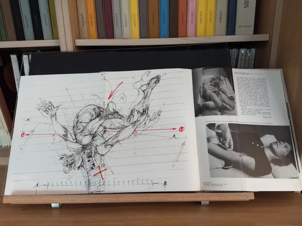 Libro Illustrato Velickovic - No 44