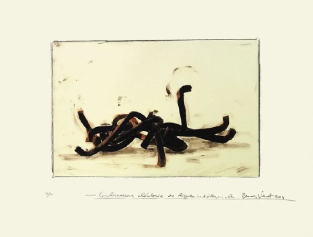 Litografia Venet - Combinaison aléatoire de lignes indéterminées 3C