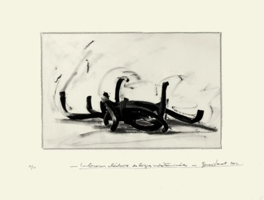 Litografia Venet - Combinaison aléatoire de lignes indéterminées 9N