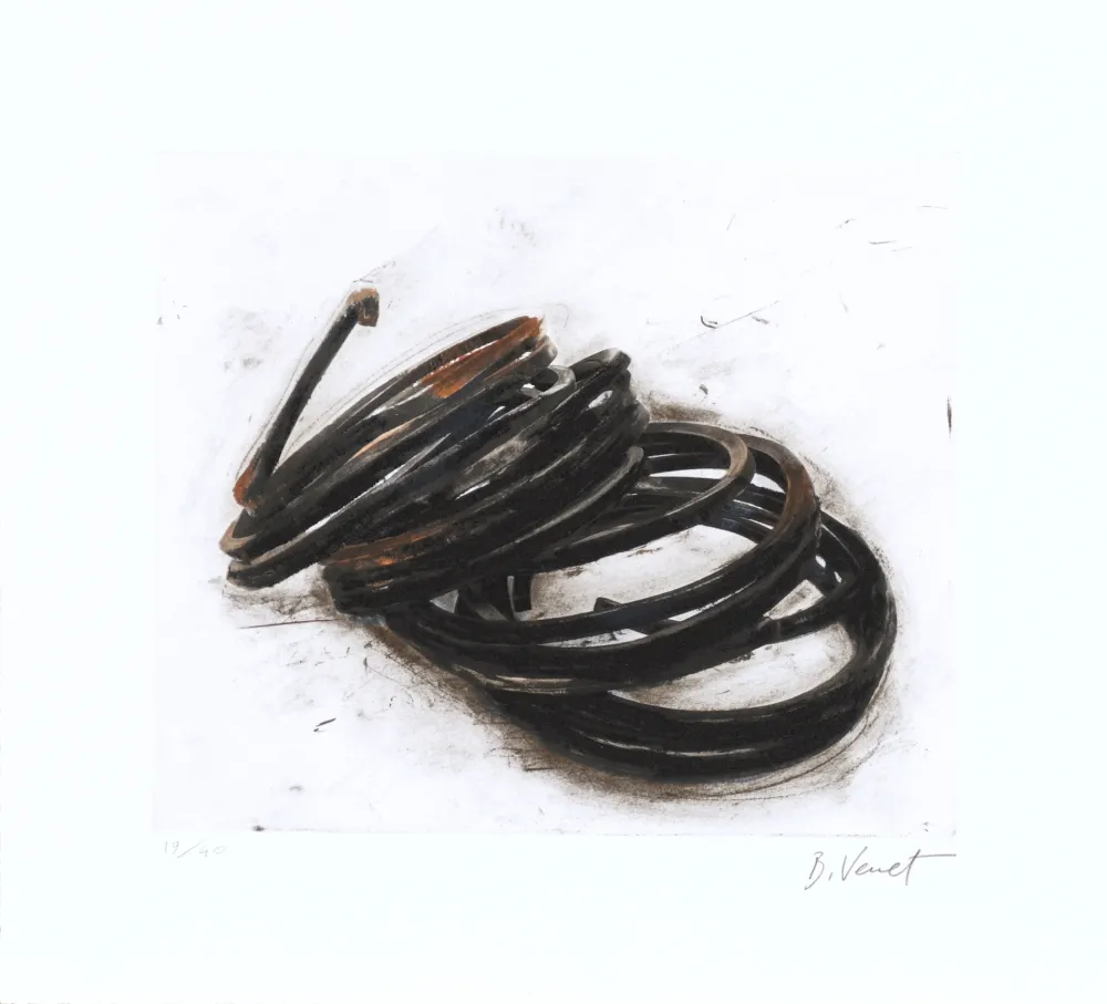 Acquaforte Venet - Effondrement - Indeterminate Lines 05