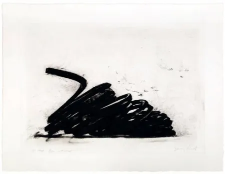 Acquaforte Venet - Effondrement: Indeterminate lines 