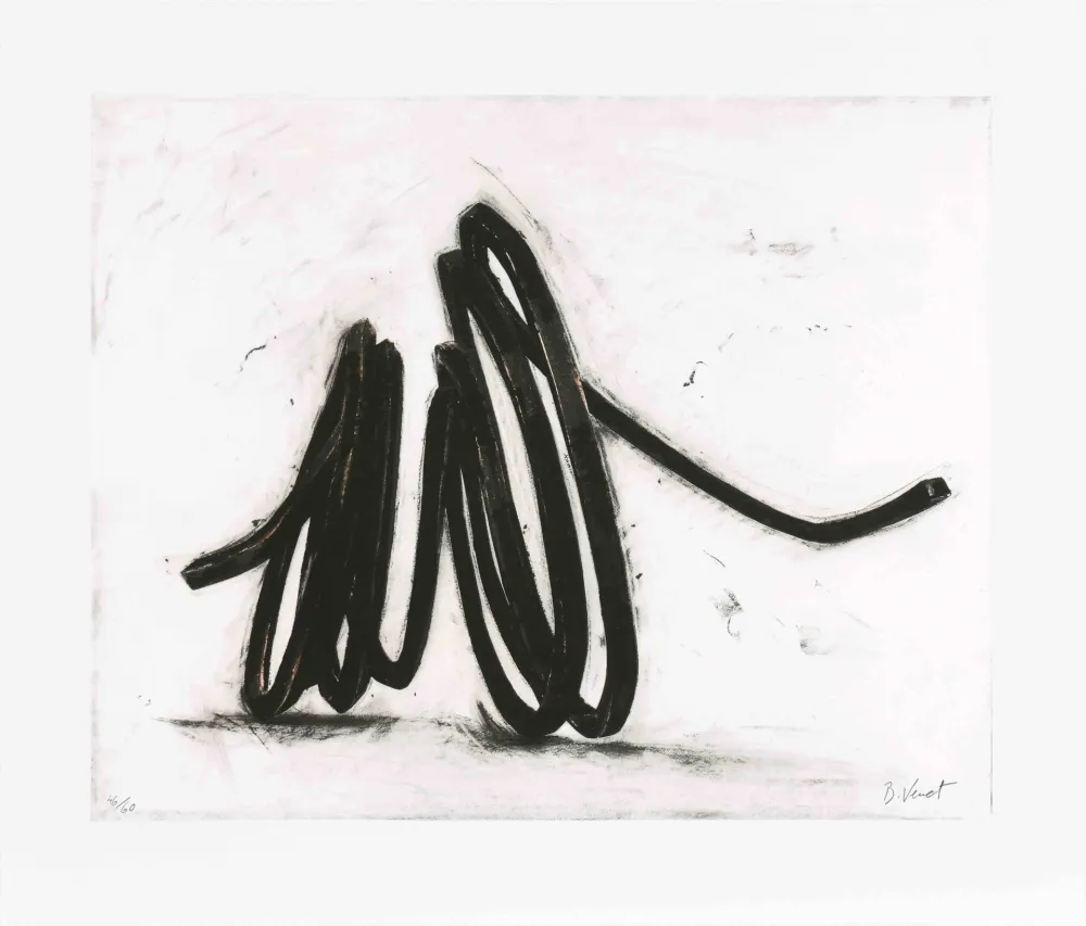 Acquaforte Venet - Indeterminate line I