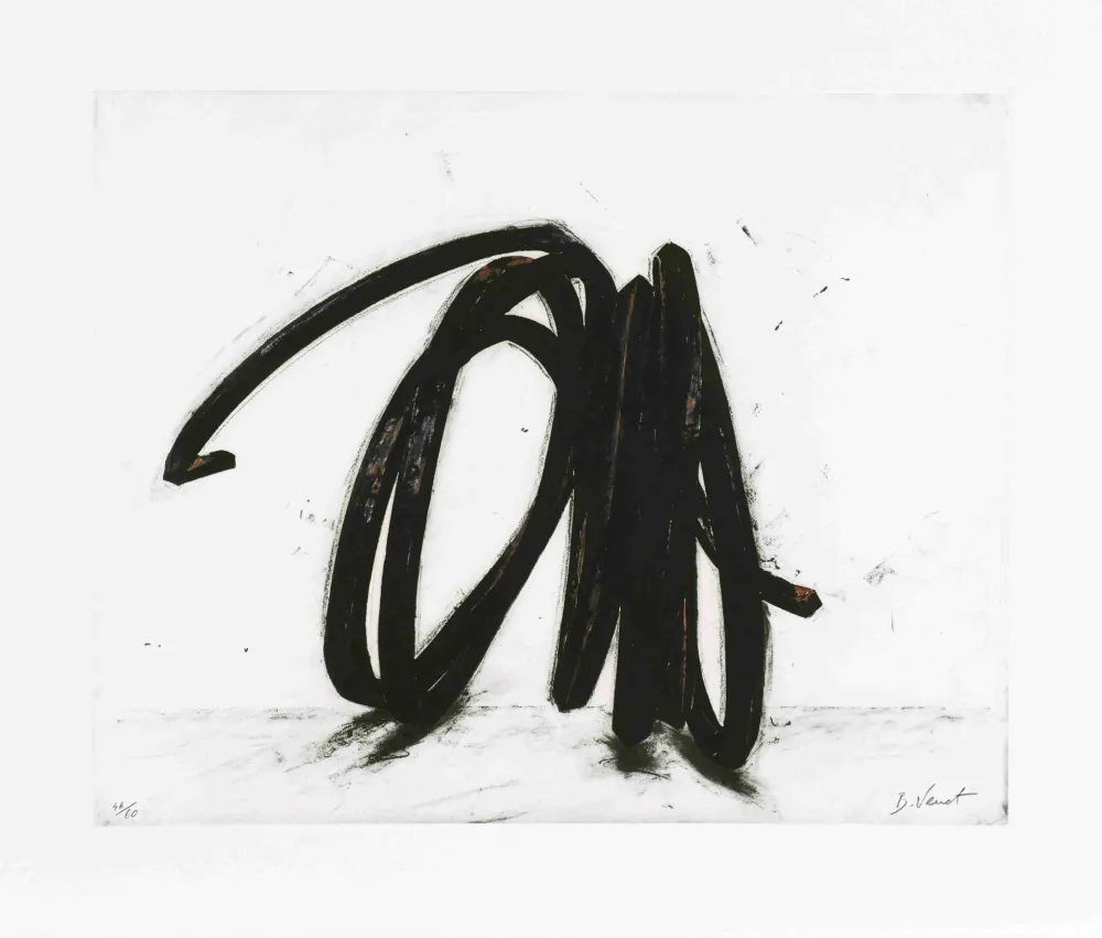 Acquaforte Venet - Indeterminate Line II