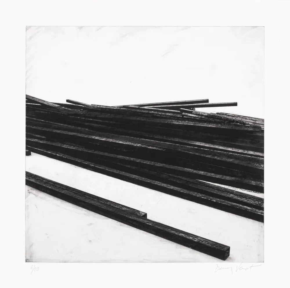 Serigrafia Venet - Lignes droites / désordre 01