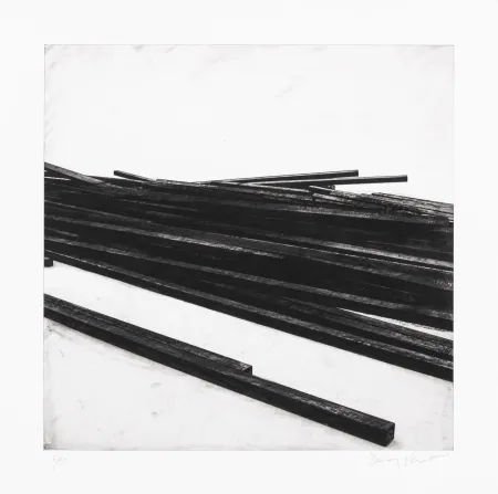 Serigrafia Venet - Lignes droites / désordre 01