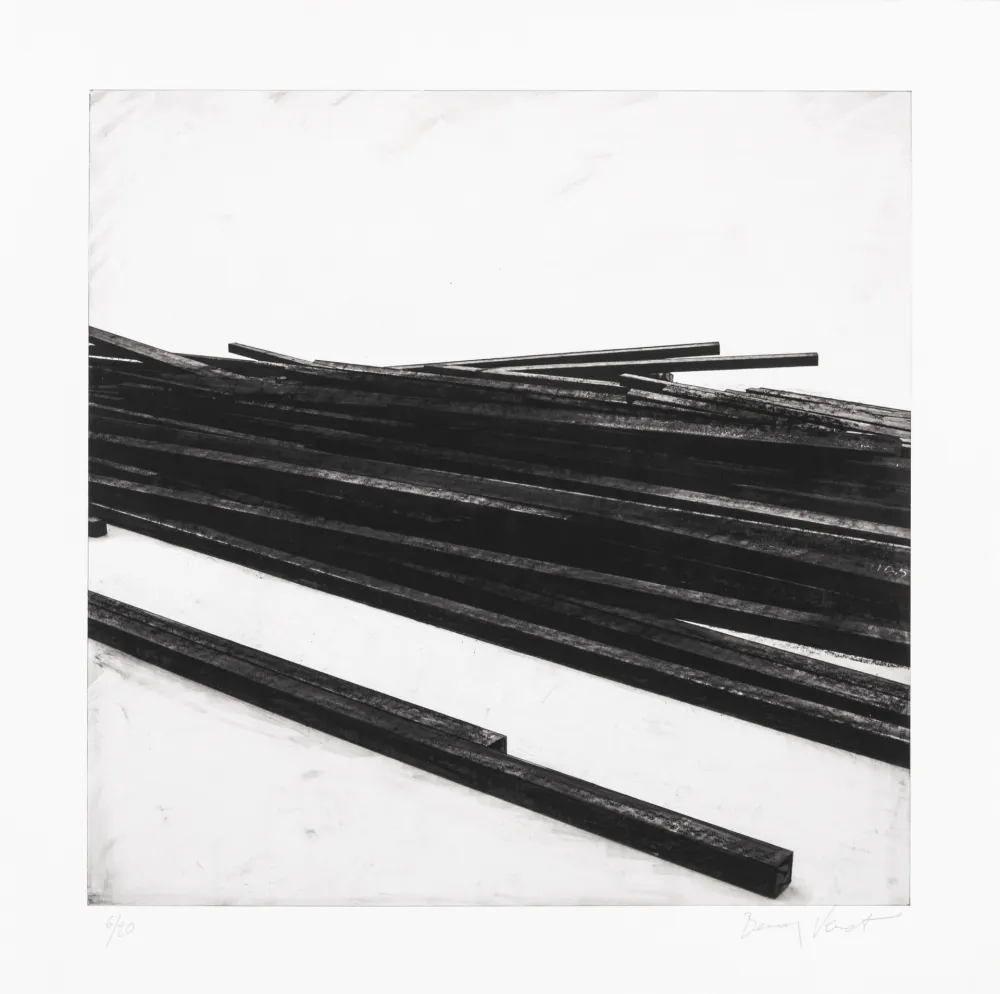 Serigrafia Venet - Lignes droites / désordre 01