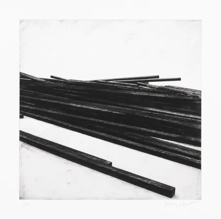 Serigrafia Venet - Lignes droites / désordre 01