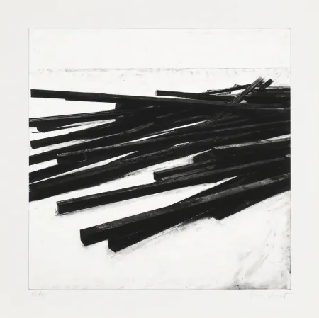 Serigrafia Venet - Lignes droites / désordre 03