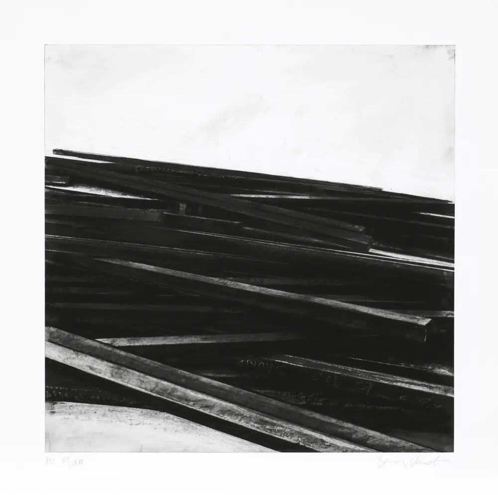 Serigrafia Venet - Lignes droites / désordre 04