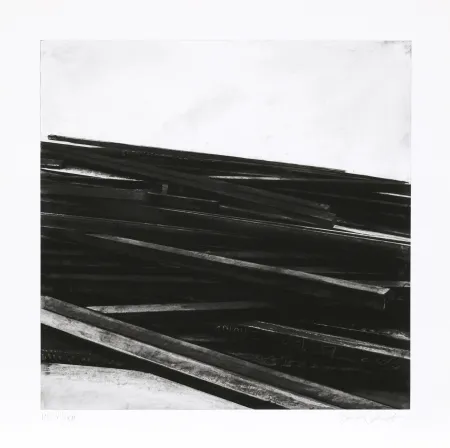 Serigrafia Venet - Lignes droites / désordre 04