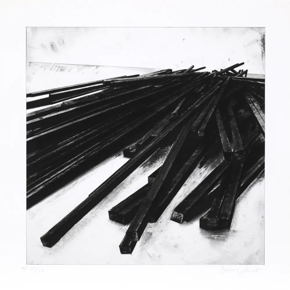 Serigrafia Venet - Lignes droites / désordre 05