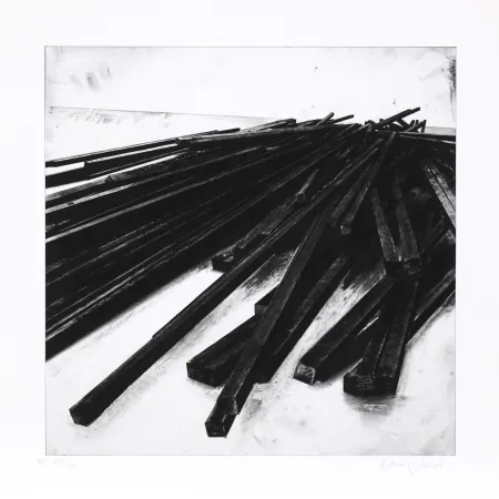 Serigrafia Venet - Lignes droites / désordre 05