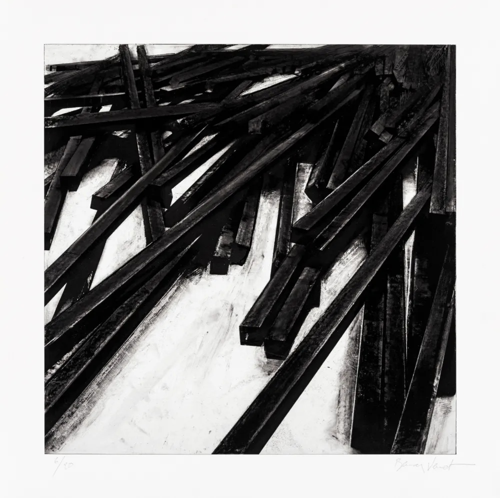 Serigrafia Venet - Lignes droites / désordre 06