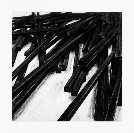 Serigrafia Venet - Lignes droites / désordre 06