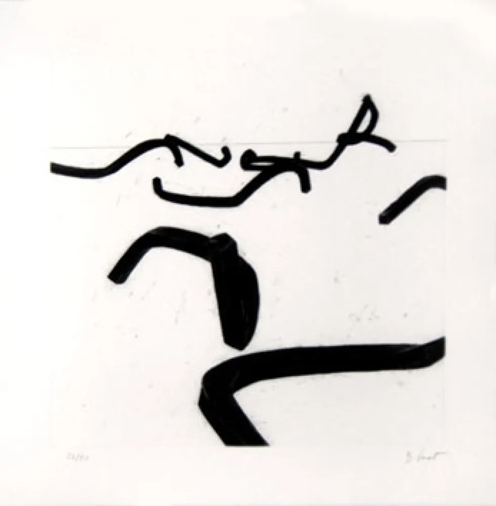 Incisione Venet - LIGNES INDETERMINEES