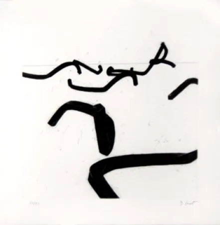 Incisione Venet - LIGNES INDETERMINEES