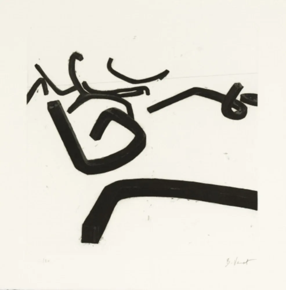 Acquaforte E Acquatinta Venet - Random Combination of Indeterminate Lines II, c