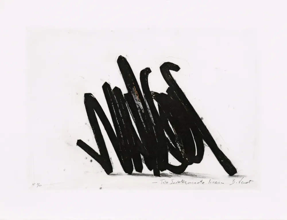 Acquaforte Venet - Two indeterminate lines 02