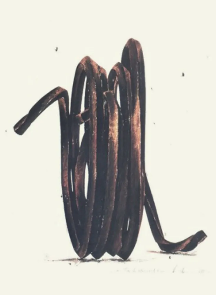 Multiplo Venet - Two Undetermined Lines